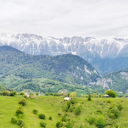 Alpine Escape Studios Măgura Exterior foto