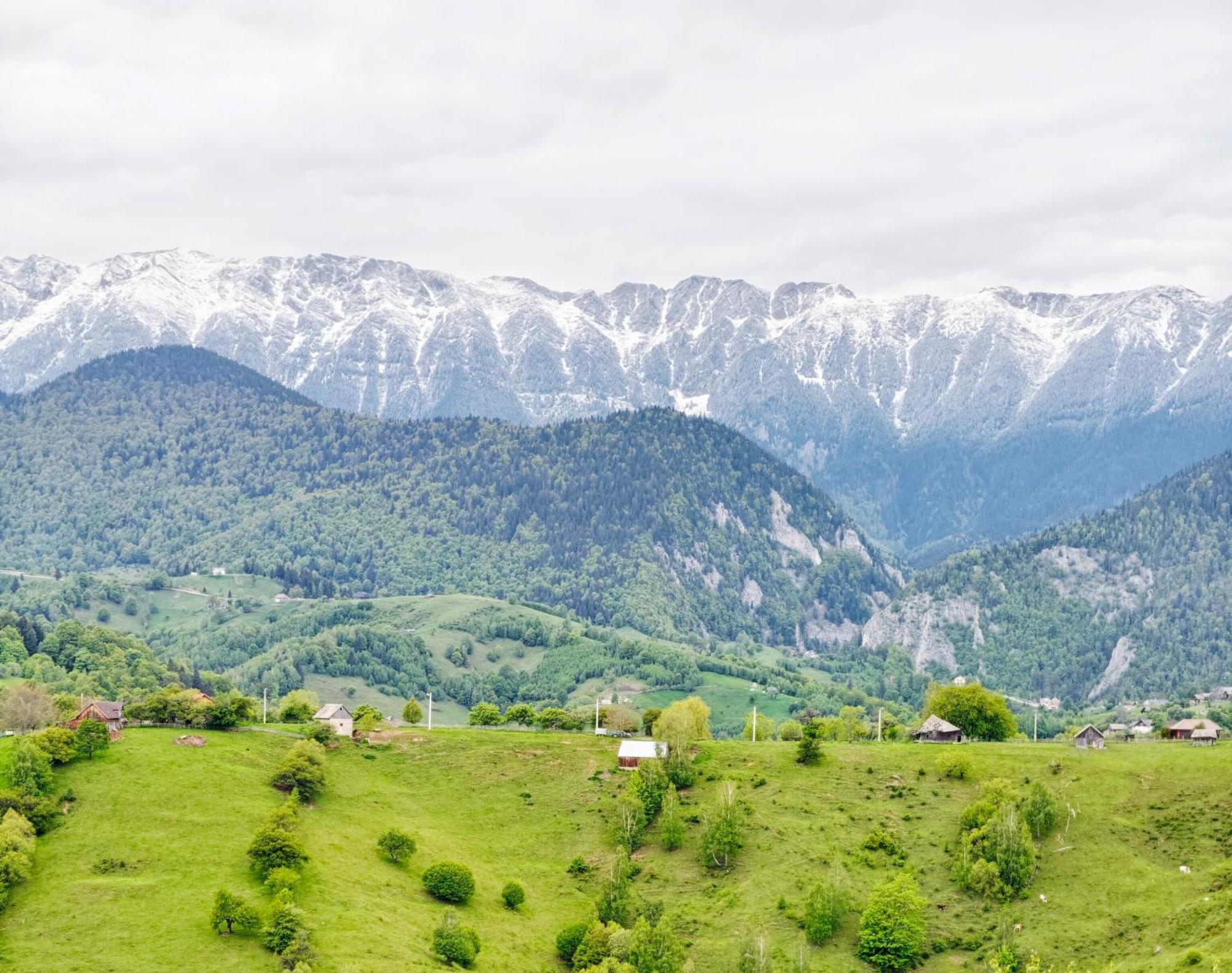Alpine Escape Studios Măgura Exterior foto